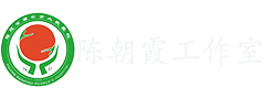 陈朝霞工作室